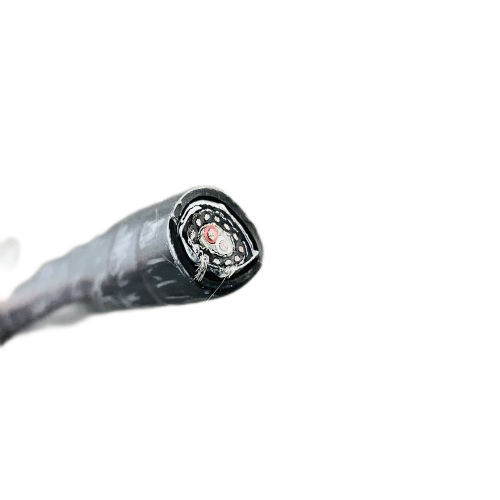 �����������ǲ���Z6���й�������ҳ����