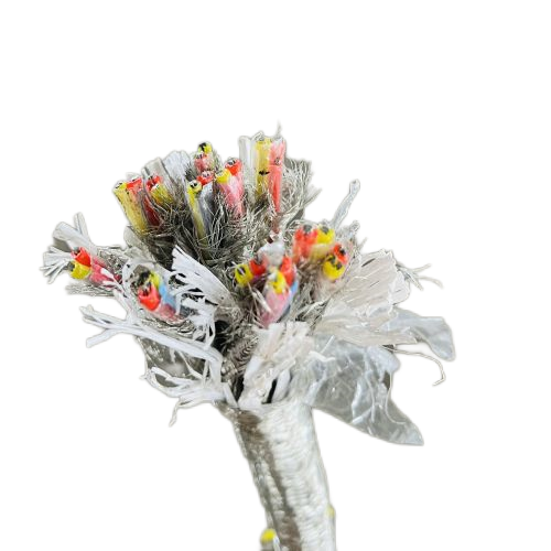 �����������ǲ���Z6���й�������ҳ����