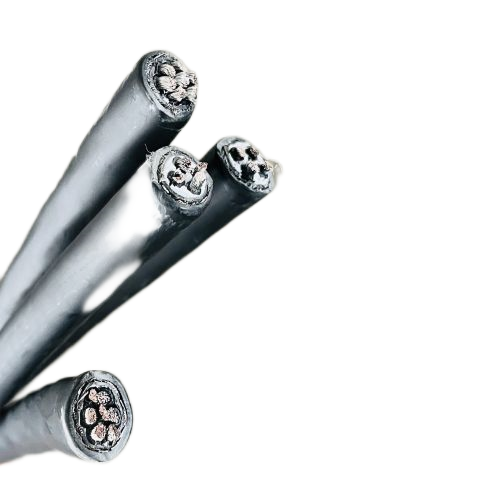 �����������ǲ���Z6���й�������ҳ����