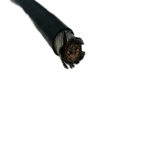 尊龙人生就是博·Z6「中国区」首页官网