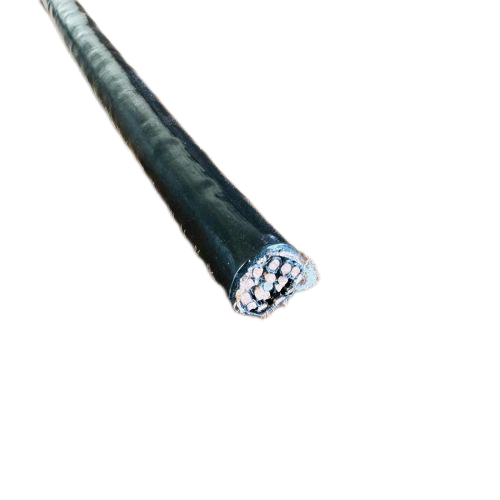 尊龙人生就是博·Z6「中国区」首页官网