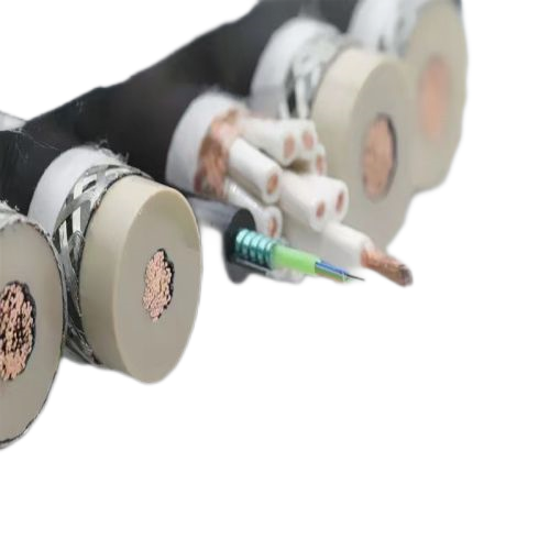 尊龙人生就是博·Z6「中国区」首页官网