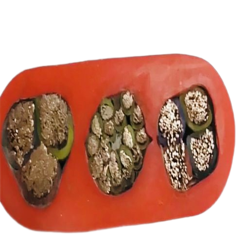 尊龙人生就是博·Z6「中国区」首页官网