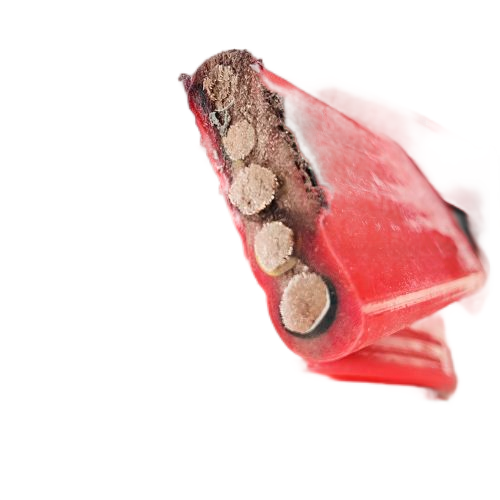 尊龙人生就是博·Z6「中国区」首页官网