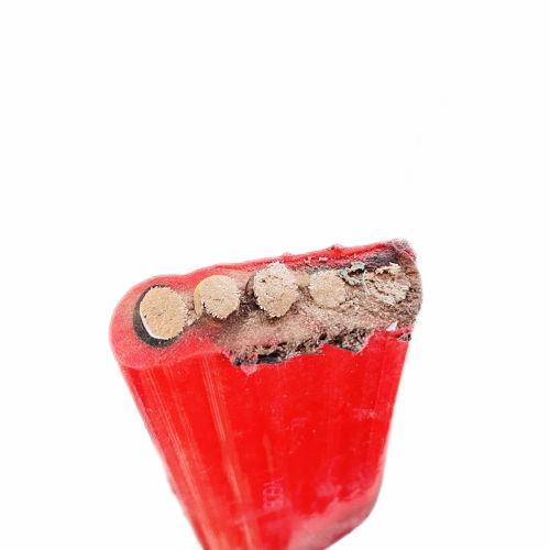 尊龙人生就是博·Z6「中国区」首页官网