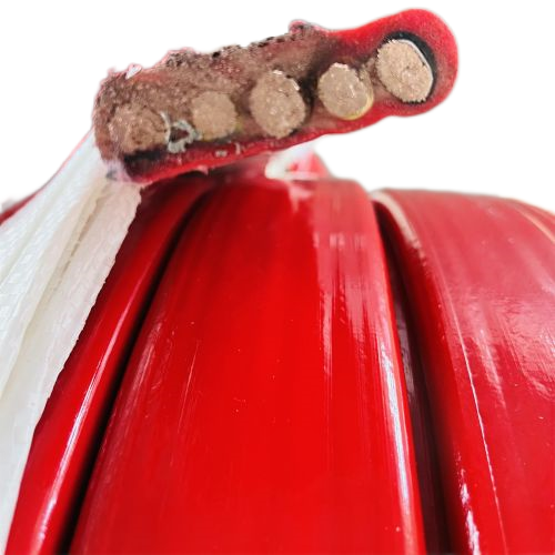 尊龙人生就是博·Z6「中国区」首页官网