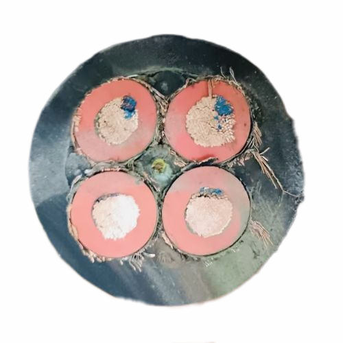 尊龙人生就是博·Z6「中国区」首页官网