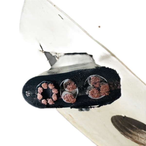 �����������ǲ���Z6���й�������ҳ����