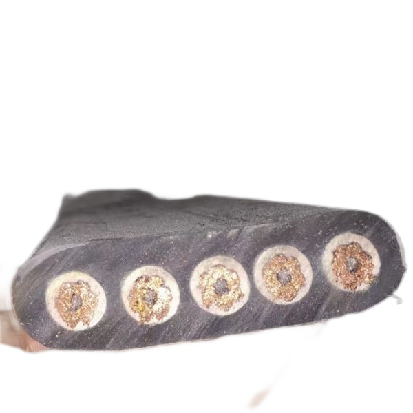 �����������ǲ���Z6���й�������ҳ����