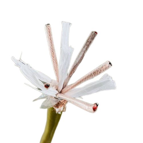 尊龙人生就是博·Z6「中国区」首页官网