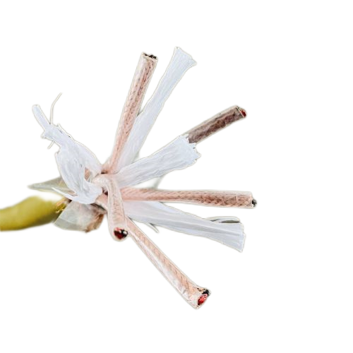 尊龙人生就是博·Z6「中国区」首页官网