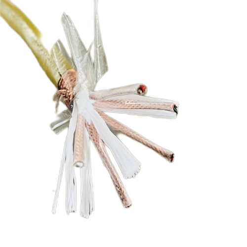 尊龙人生就是博·Z6「中国区」首页官网