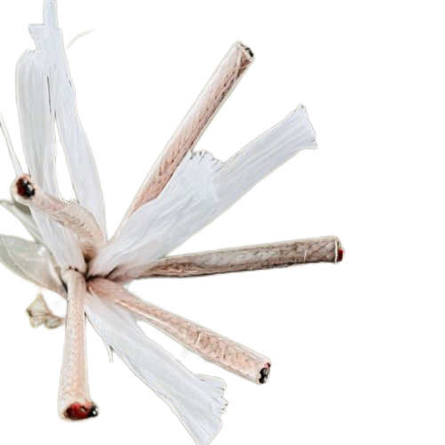 尊龙人生就是博·Z6「中国区」首页官网