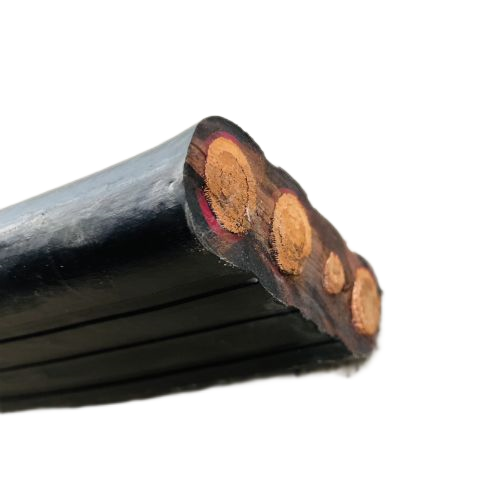 尊龙人生就是博·Z6「中国区」首页官网