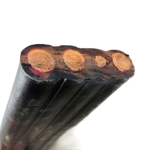 尊龙人生就是博·Z6「中国区」首页官网