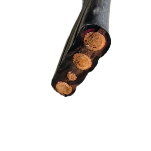 尊龙人生就是博·Z6「中国区」首页官网