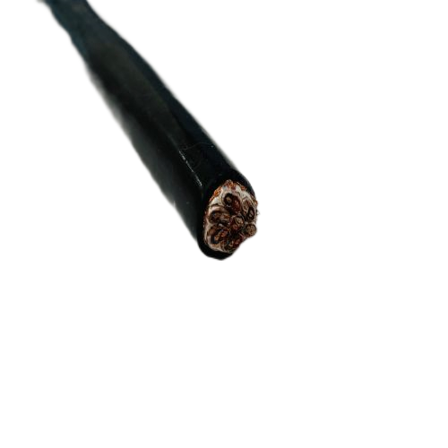 �����������ǲ���Z6���й�������ҳ����