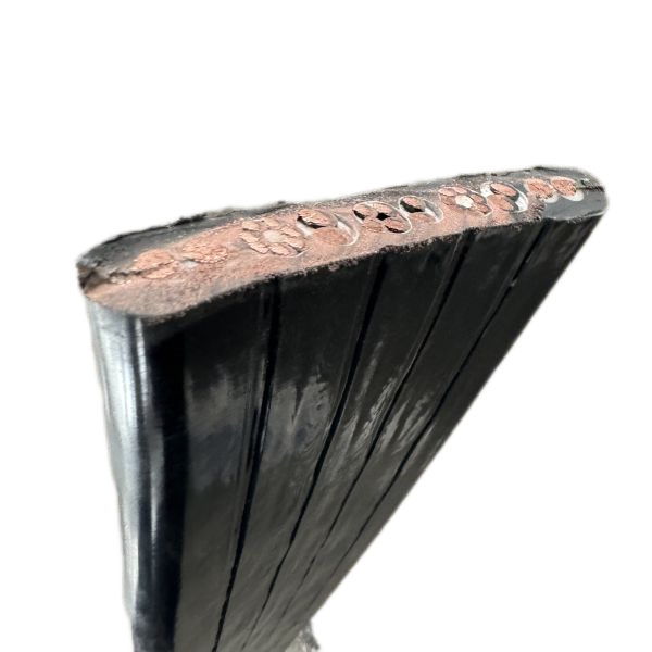 尊龙人生就是博·Z6「中国区」首页官网