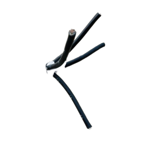 尊龙人生就是博·Z6「中国区」首页官网