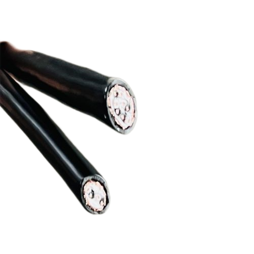 尊龙人生就是博·Z6「中国区」首页官网