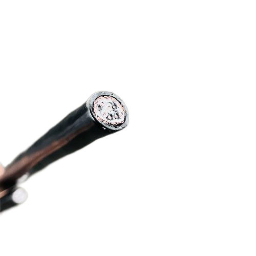 尊龙人生就是博·Z6「中国区」首页官网