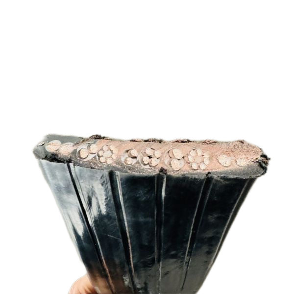 尊龙人生就是博·Z6「中国区」首页官网