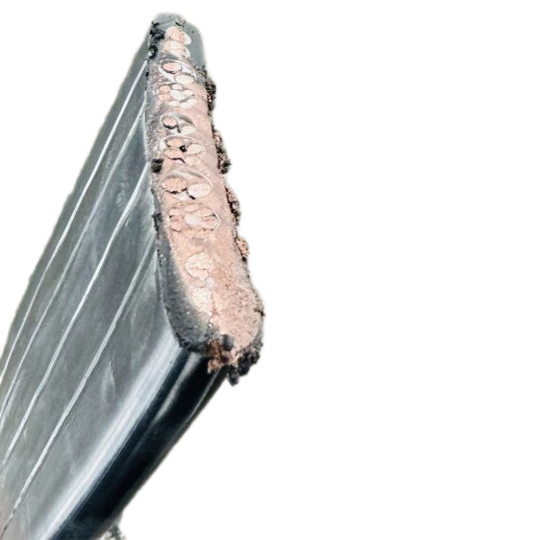 尊龙人生就是博·Z6「中国区」首页官网