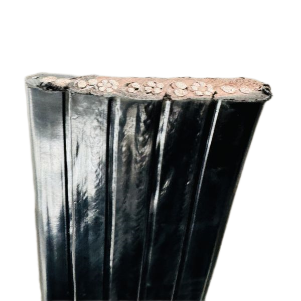 尊龙人生就是博·Z6「中国区」首页官网