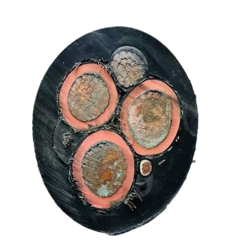 尊龙人生就是博·Z6「中国区」首页官网