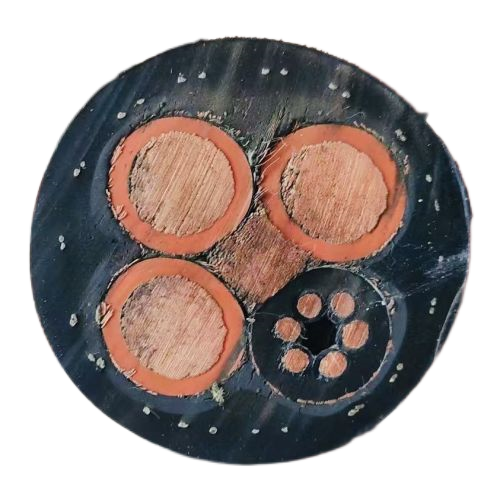 尊龙人生就是博·Z6「中国区」首页官网