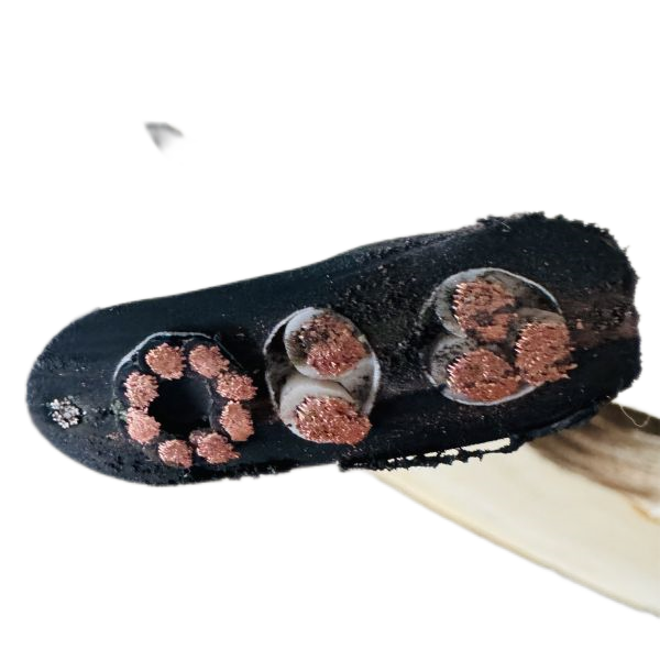 尊龙人生就是博·Z6「中国区」首页官网