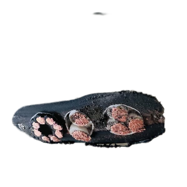 尊龙人生就是博·Z6「中国区」首页官网