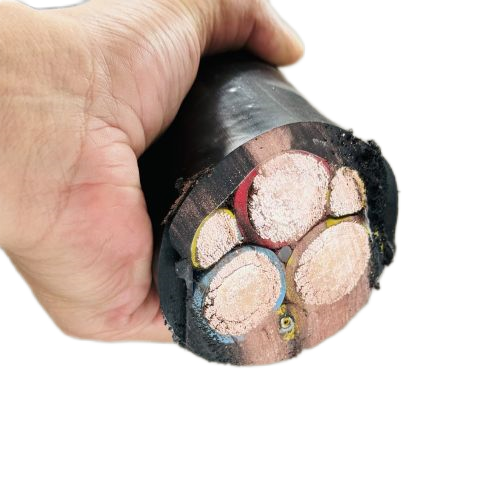 尊龙人生就是博·Z6「中国区」首页官网