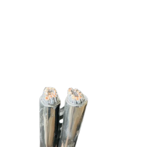 尊龙人生就是博·Z6「中国区」首页官网