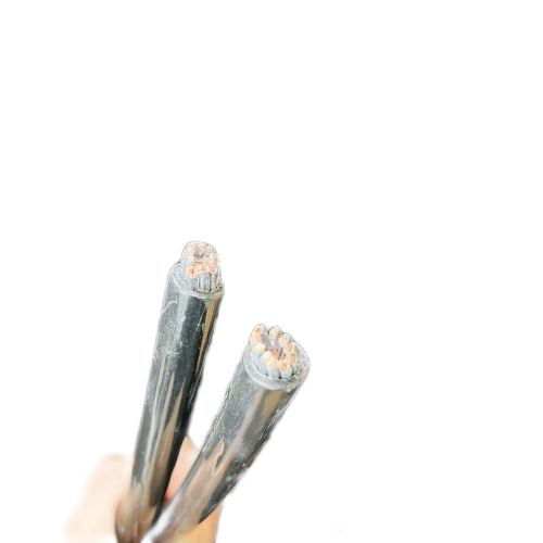 尊龙人生就是博·Z6「中国区」首页官网