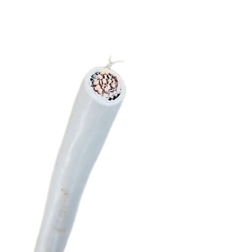 尊龙人生就是博·Z6「中国区」首页官网