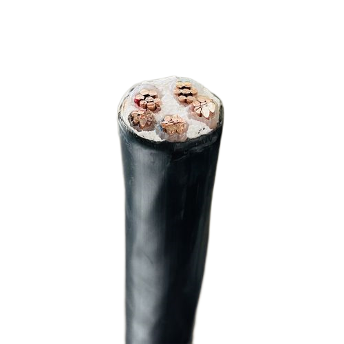 尊龙人生就是博·Z6「中国区」首页官网