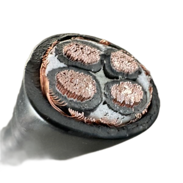 尊龙人生就是博·Z6「中国区」首页官网