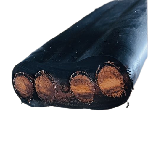 尊龙人生就是博·Z6「中国区」首页官网