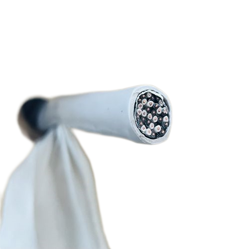 尊龙人生就是博·Z6「中国区」首页官网