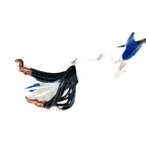 尊龙人生就是博·Z6「中国区」首页官网