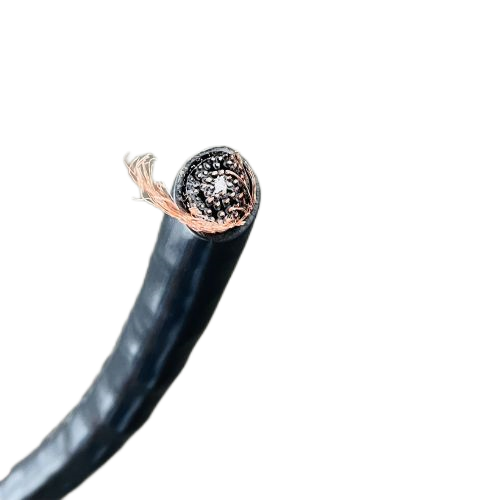 尊龙人生就是博·Z6「中国区」首页官网