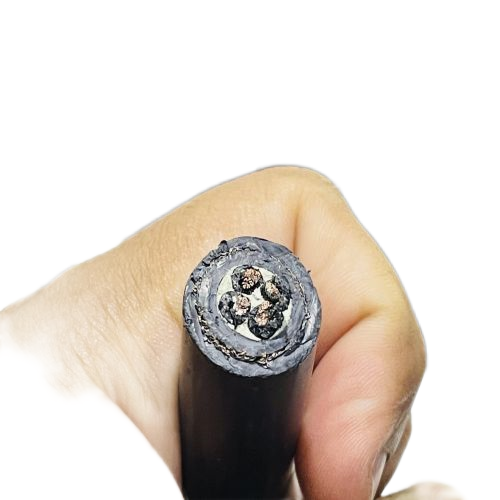 �����������ǲ���Z6���й�������ҳ����