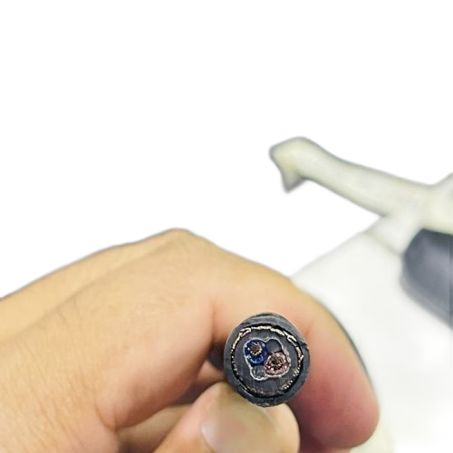 �����������ǲ���Z6���й�������ҳ����