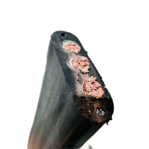 尊龙人生就是博·Z6「中国区」首页官网