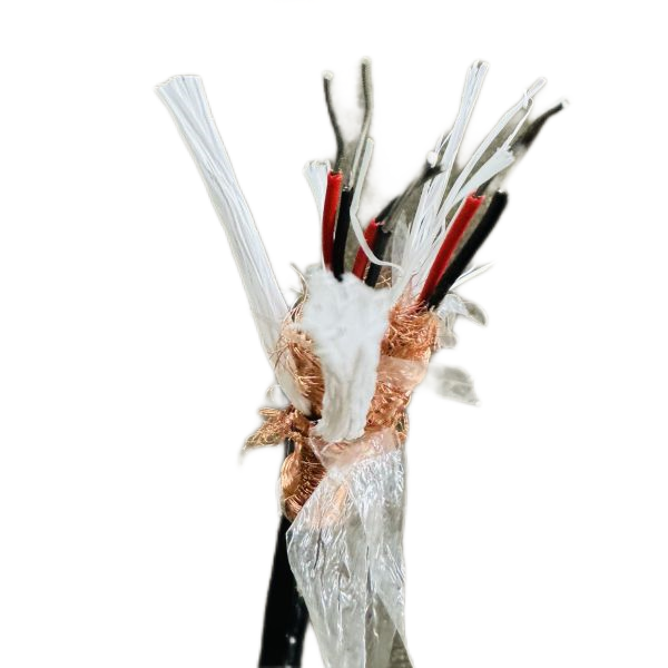 尊龙人生就是博·Z6「中国区」首页官网