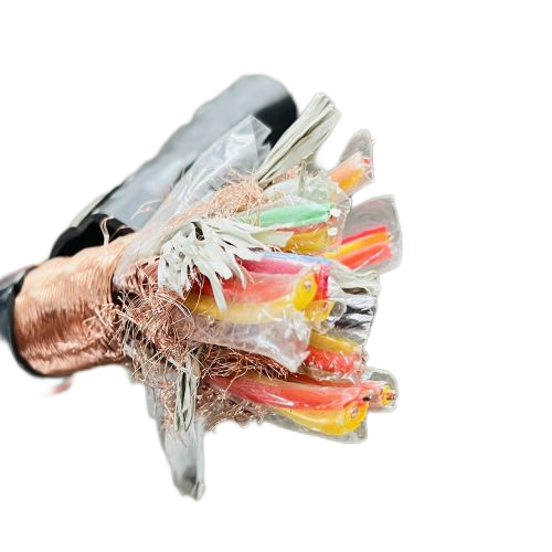 尊龙人生就是博·Z6「中国区」首页官网