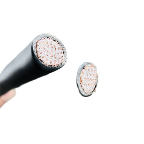 �����������ǲ���Z6���й�������ҳ����