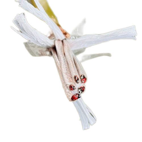 尊龙人生就是博·Z6「中国区」首页官网