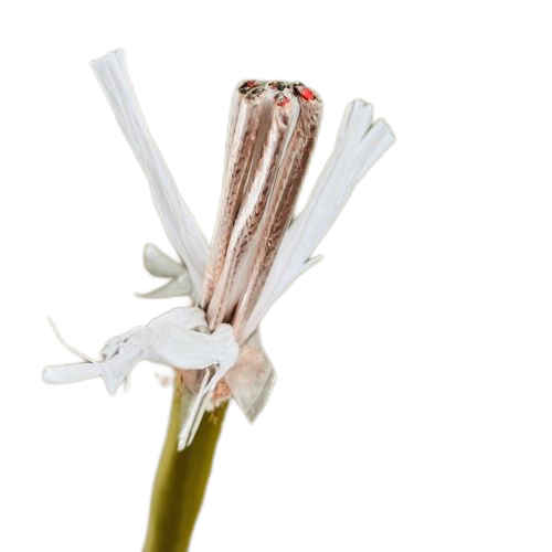 尊龙人生就是博·Z6「中国区」首页官网